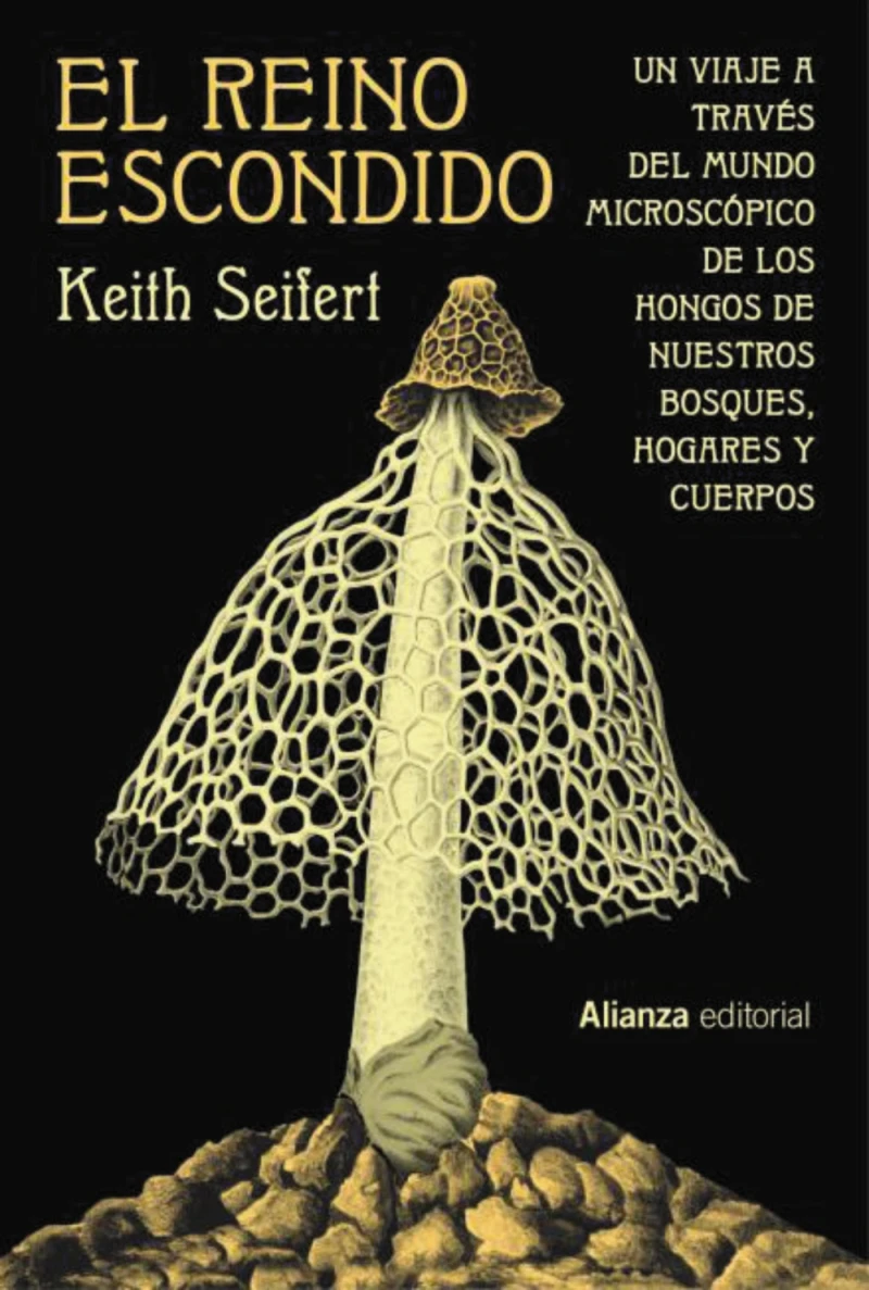 Portada: El reino escondido