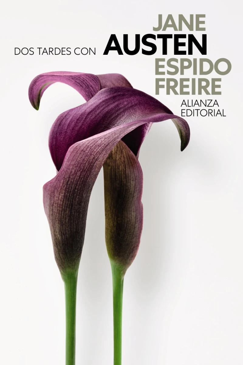 Portada: Dos tardes con Jane Austen