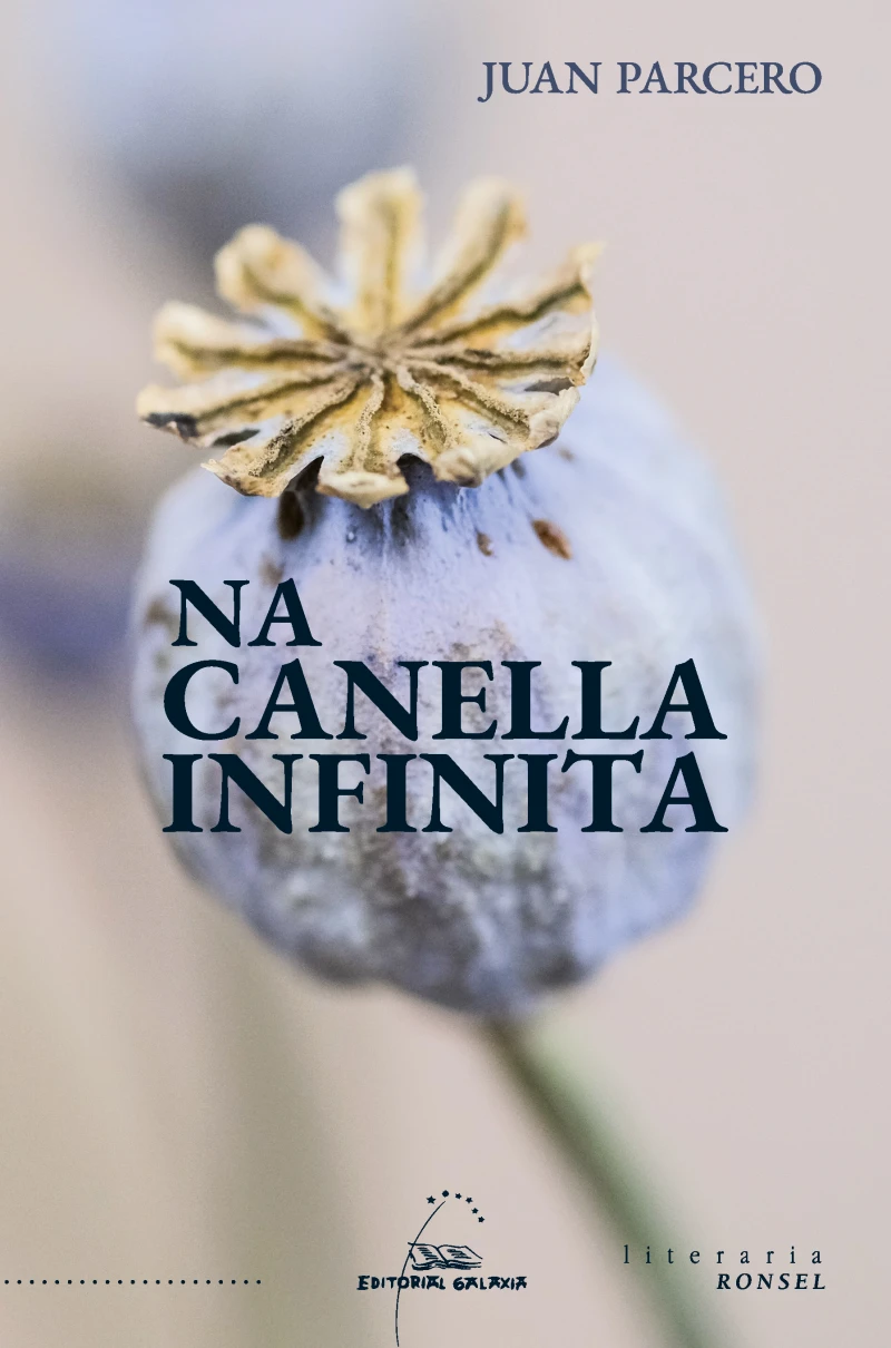 Portada: Na canella infinita