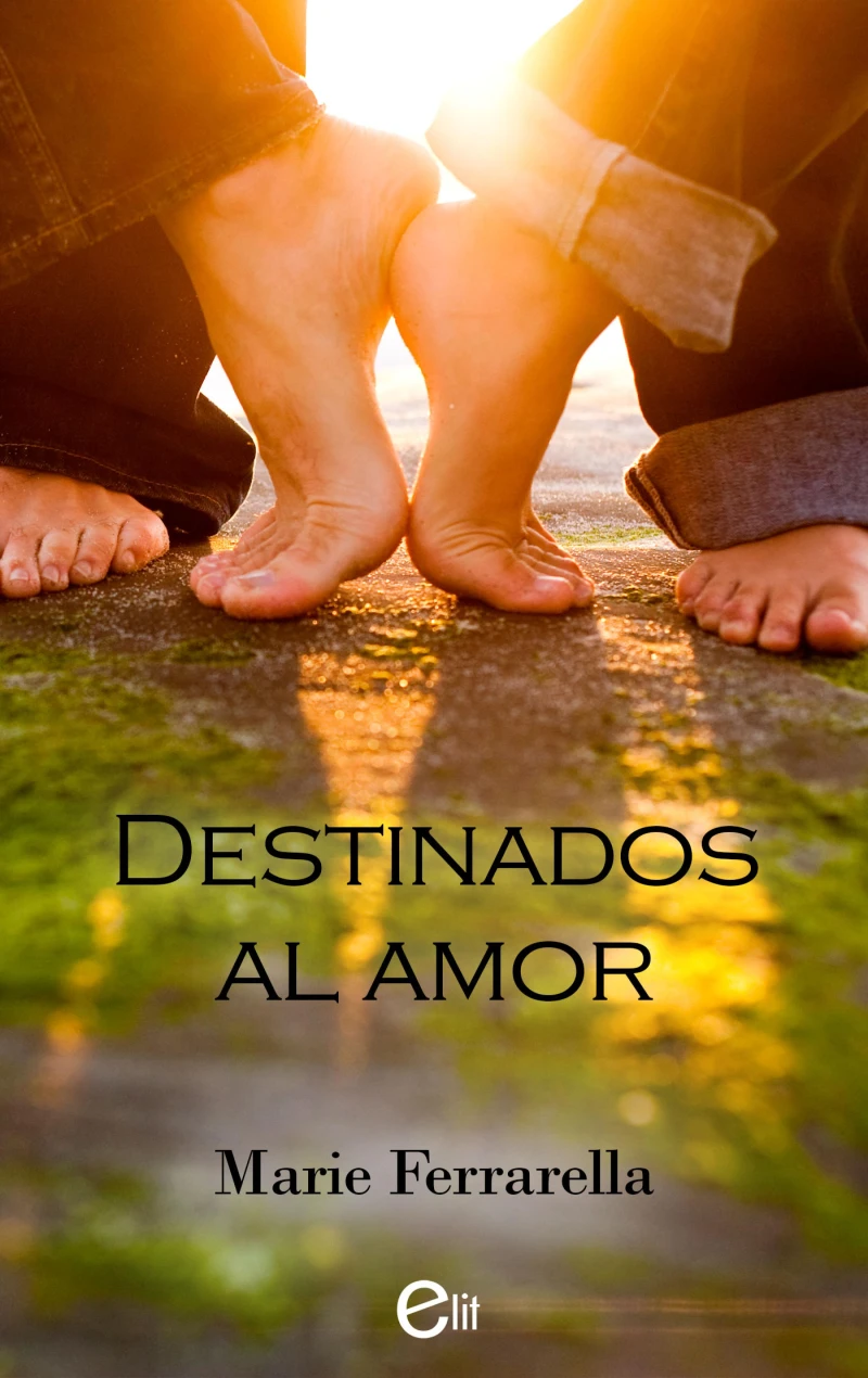 Portada: Destinados al amor