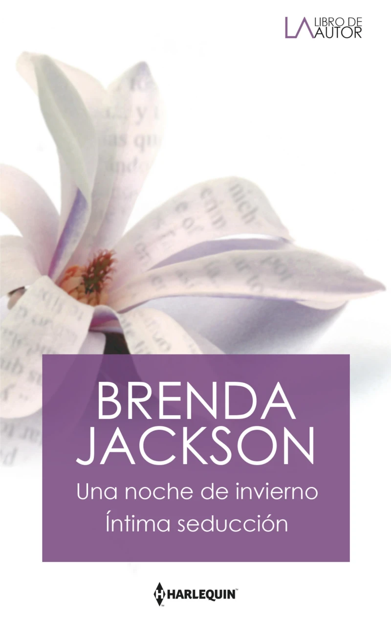 Portada: Una noche de invierno - Íntima seducción