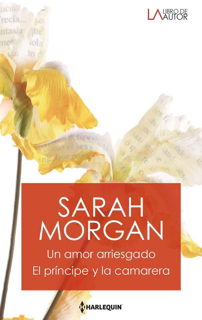 Portada: Un amor arriesgado - El príncipe y la camarera