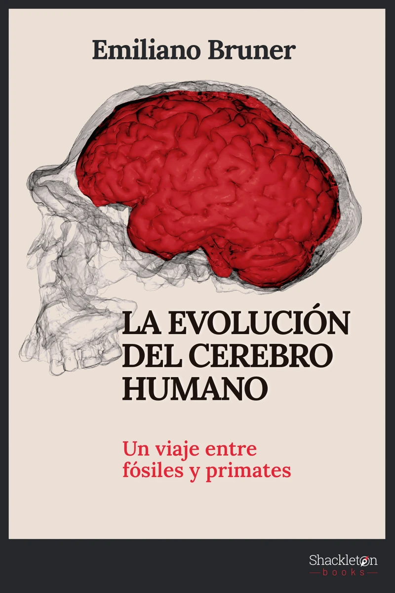 Portada: La evolución del cerebro humano