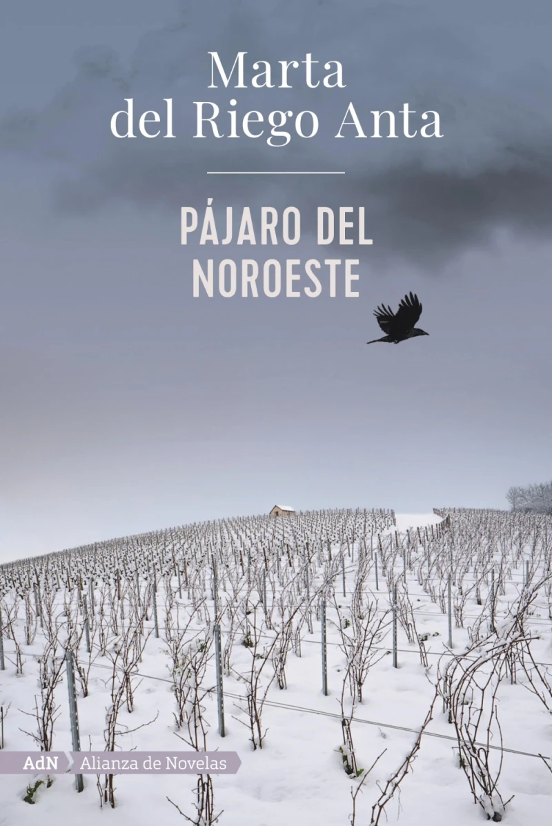 Portada: Pájaro del noroeste (AdN)
