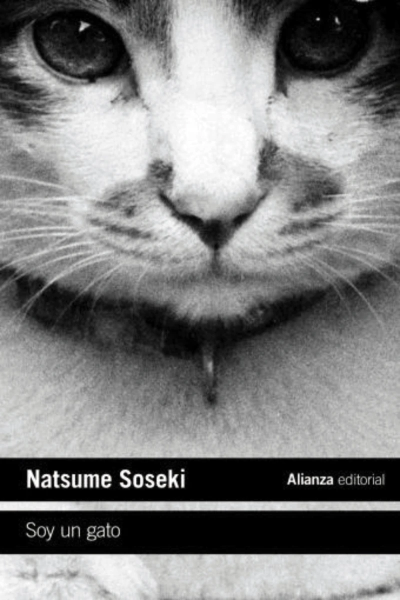 Portada: Soy un gato