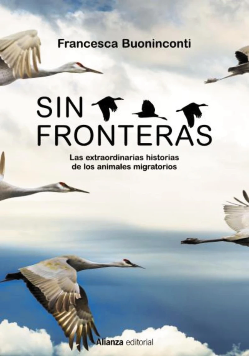 Portada: Sin fronteras