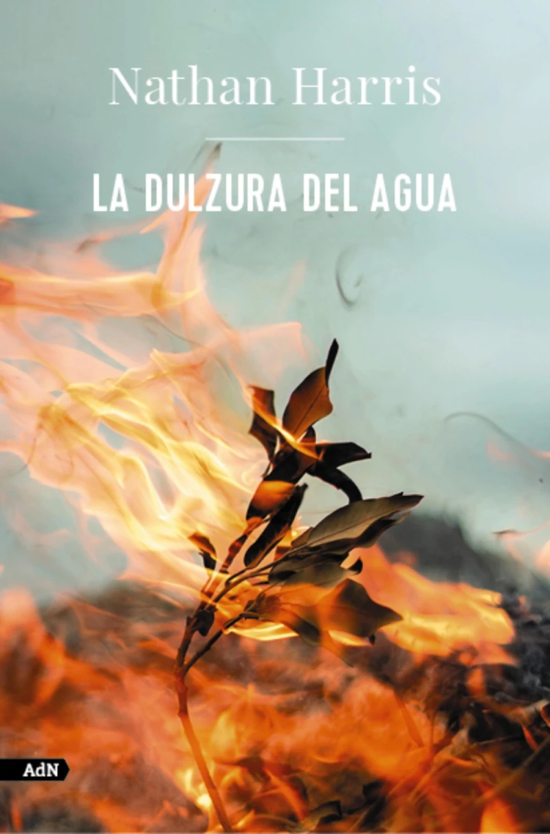 Portada: La dulzura del agua (AdN)