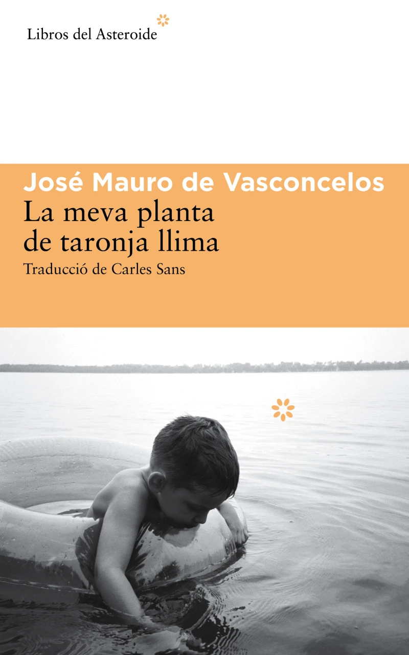 Portada: La meva planta de taronja llima