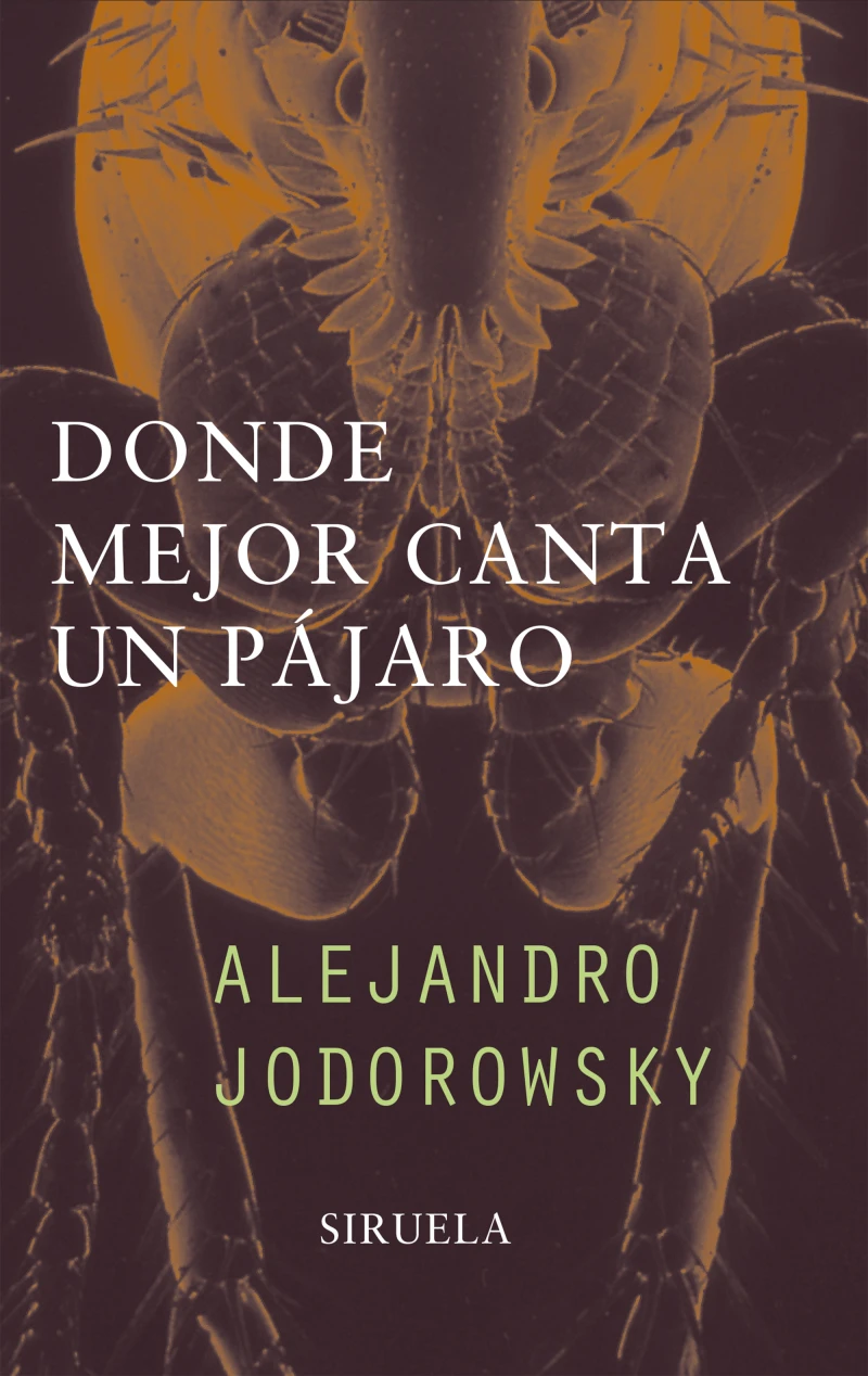 Portada: Donde mejor canta un pájaro
