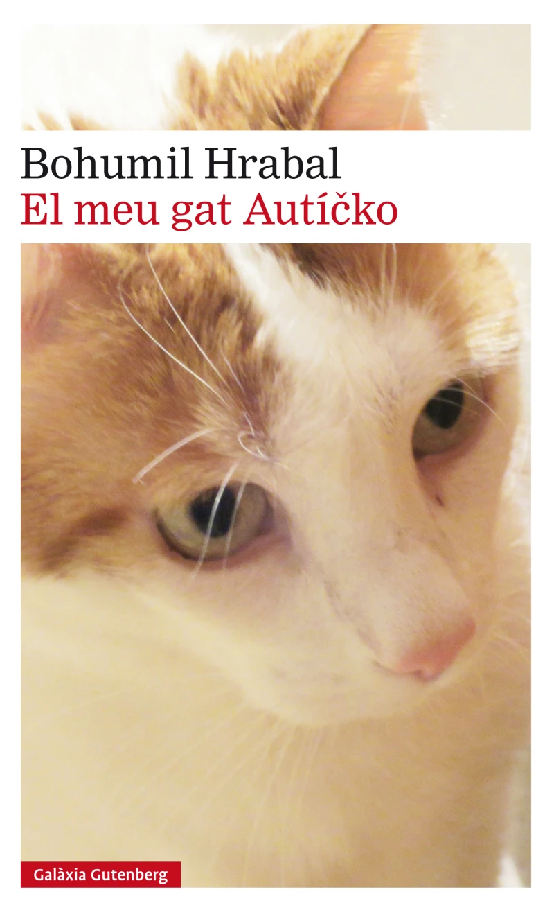 Portada: El meu gat Auticko