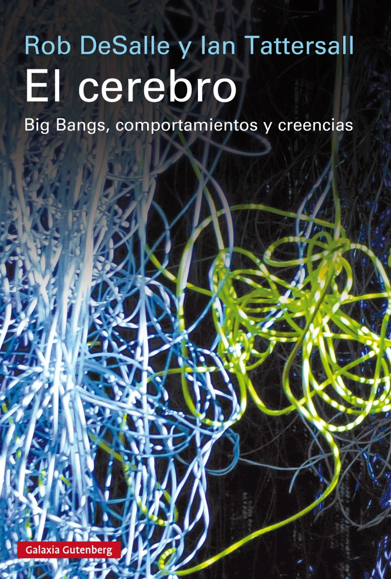 Portada: El cerebro