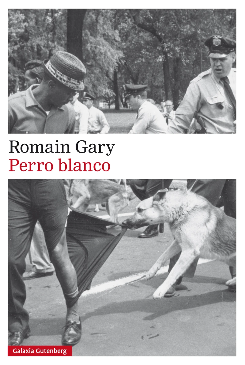 Portada: Perro blanco