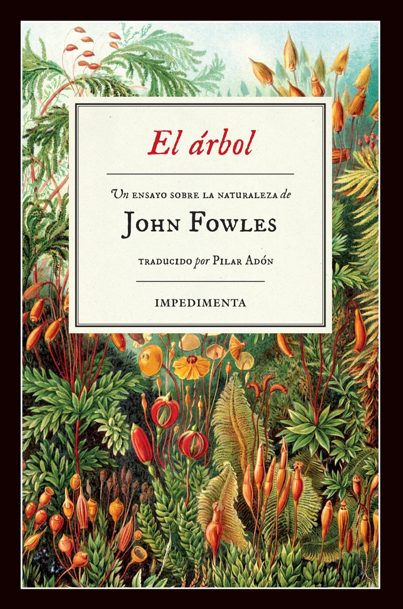 Portada: El árbol