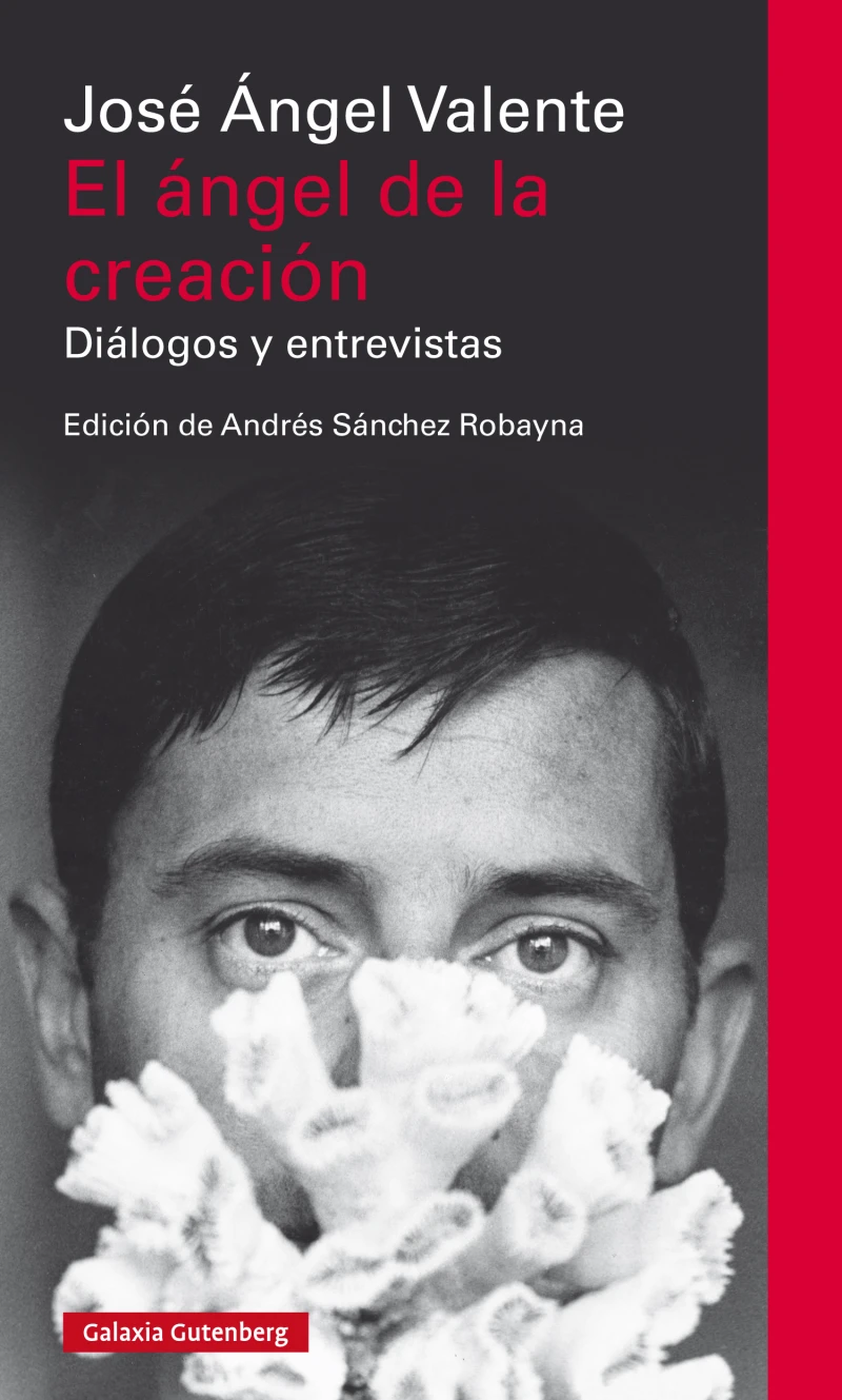 Portada: El ángel de la creación