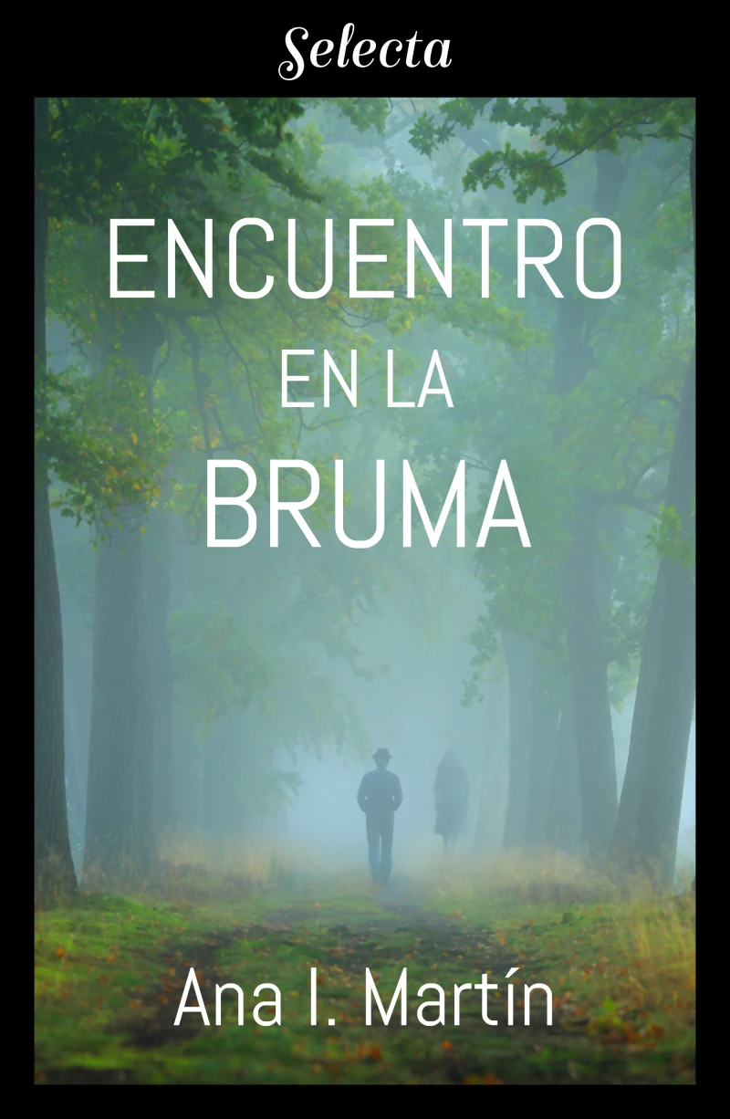 Portada: Encuentro en la bruma