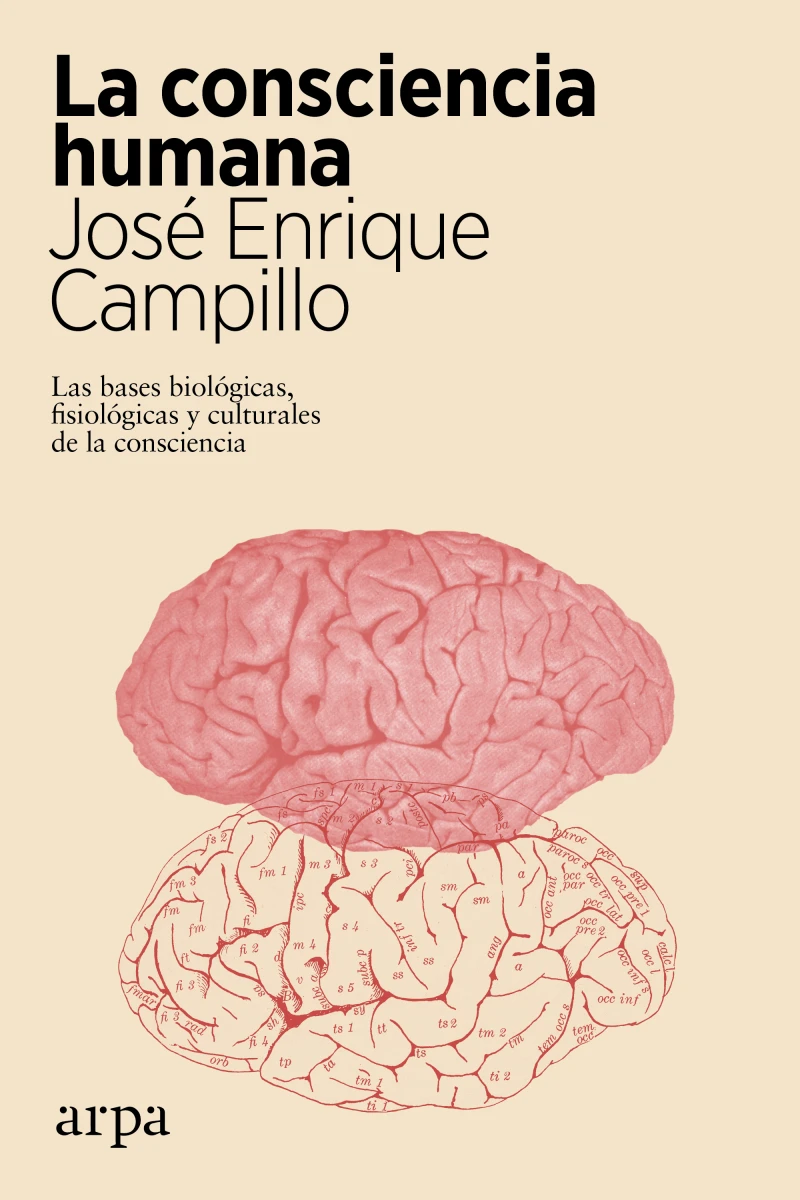 Portada: La consciencia humana