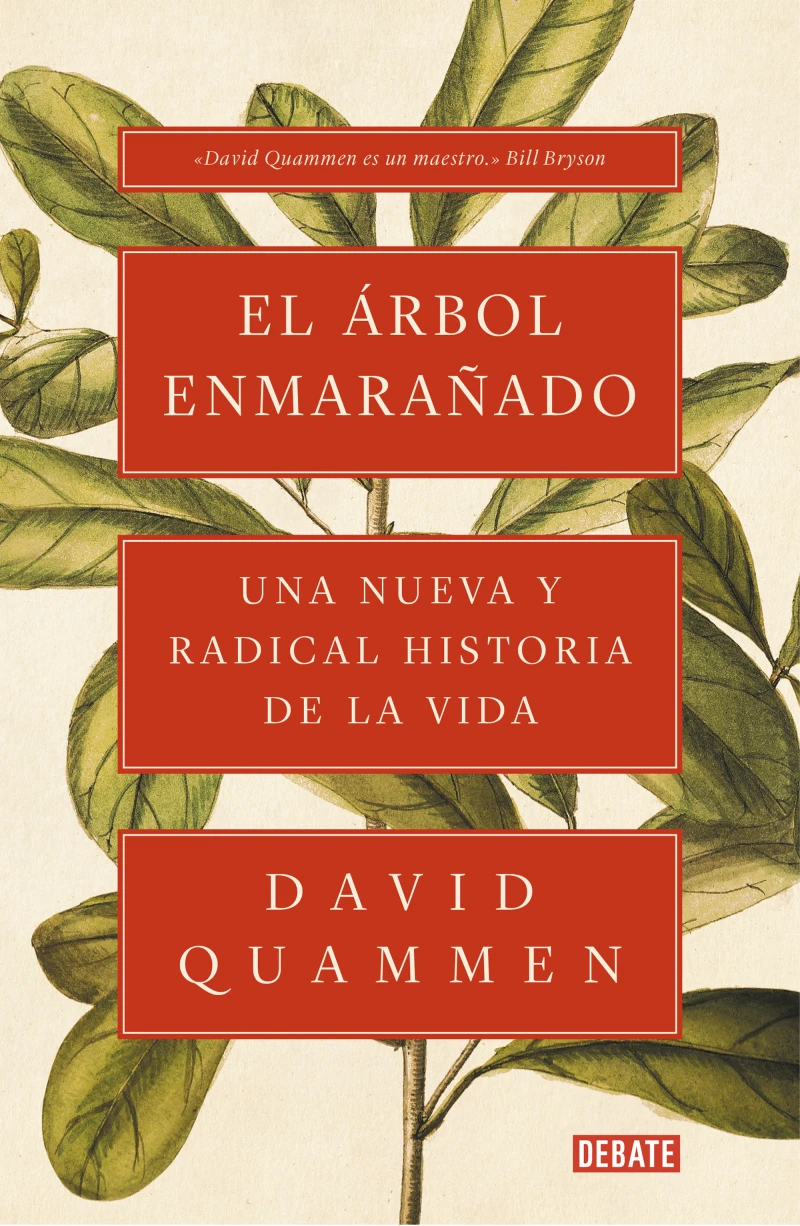 Portada: El árbol enmarañado