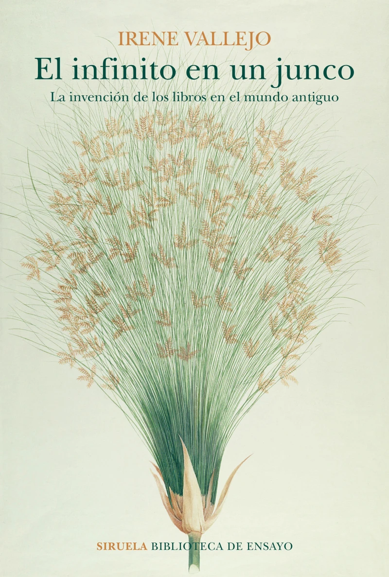 Portada: El infinito en un junco