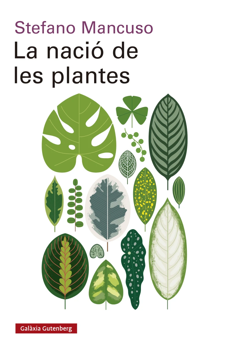 Portada: La nació de les plantes
