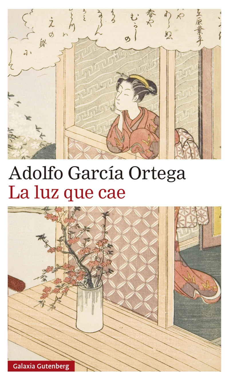 Portada: La luz que cae