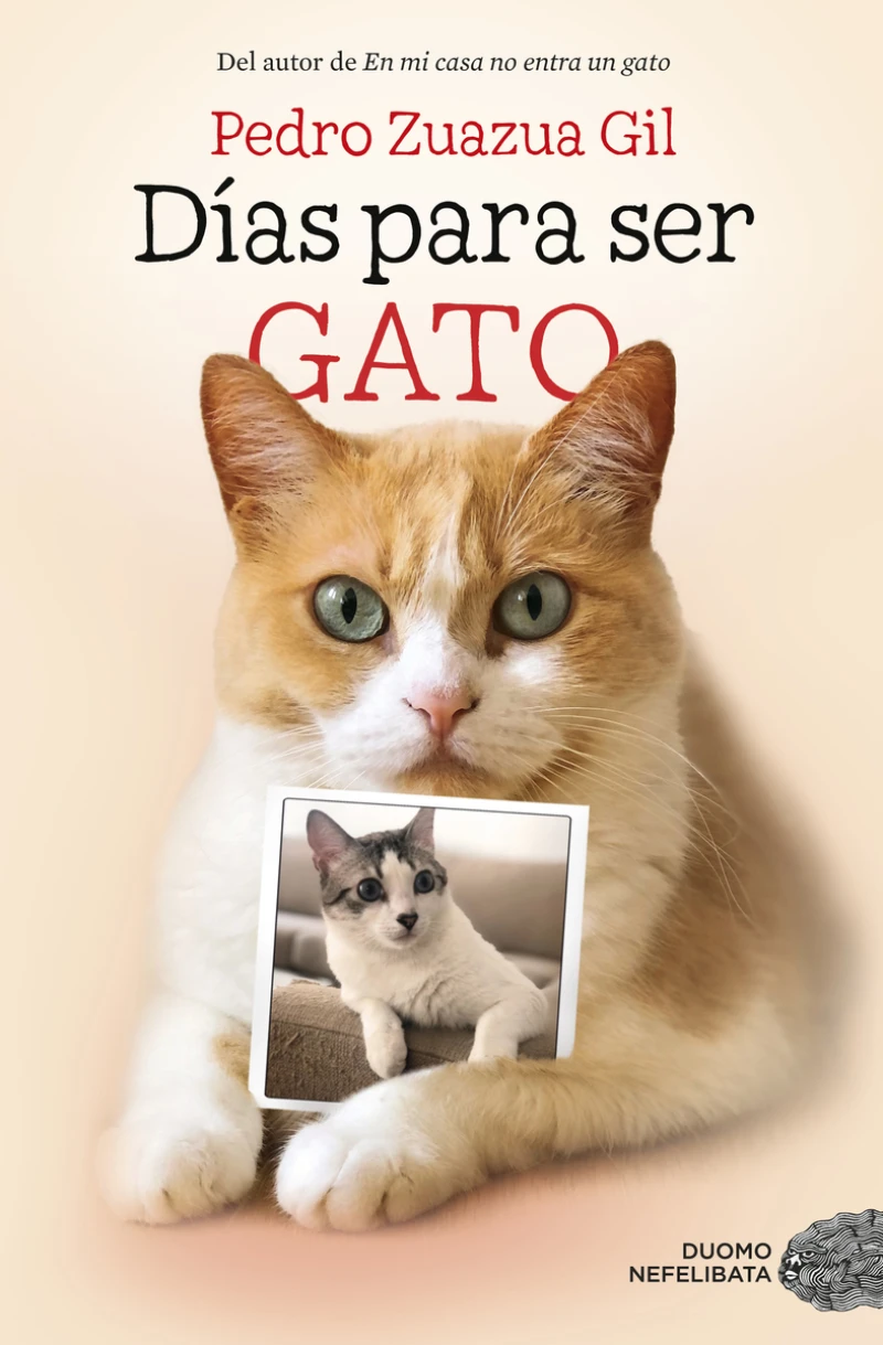 Portada: Días para ser gato