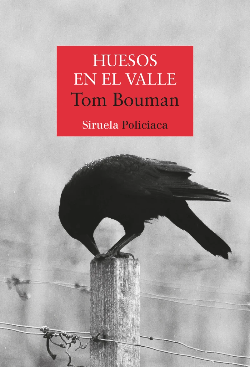 Portada: Huesos en el valle
