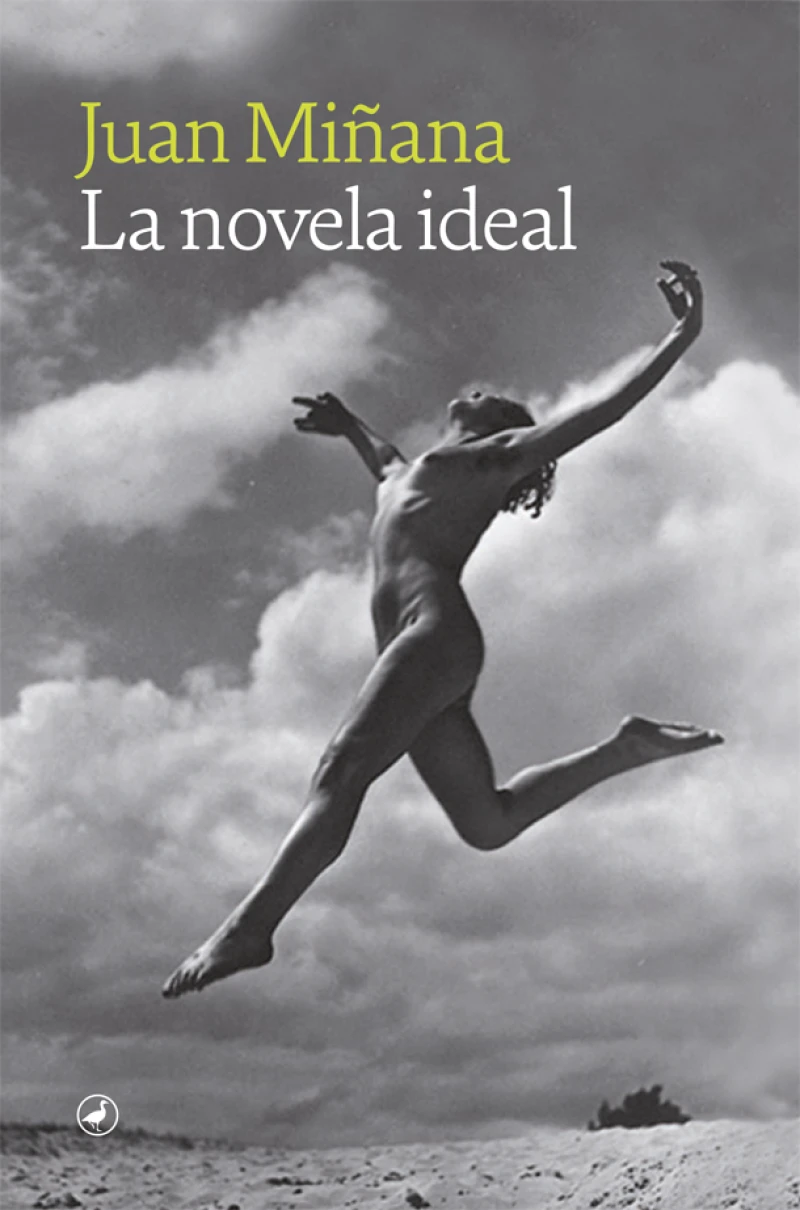 Portada: La novela ideal