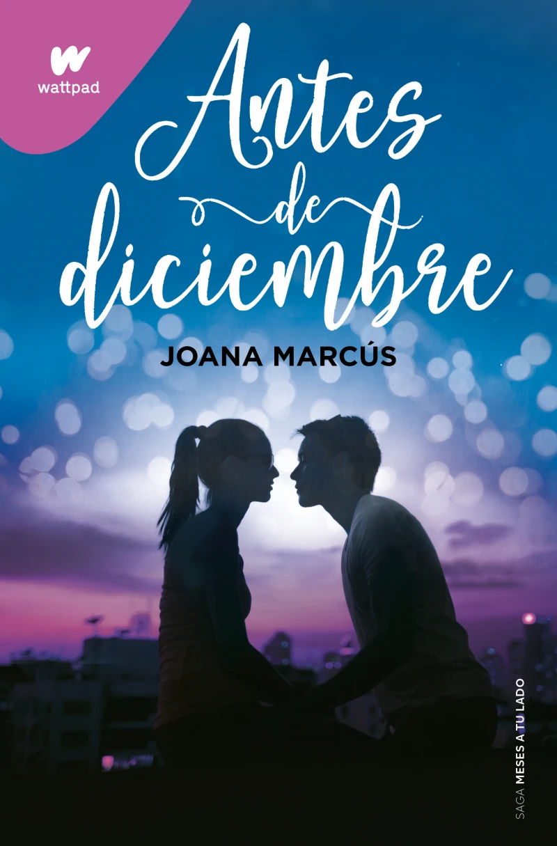 Portada: Antes de diciembre (edición revisada por la autora) (Meses a tu lado 1)