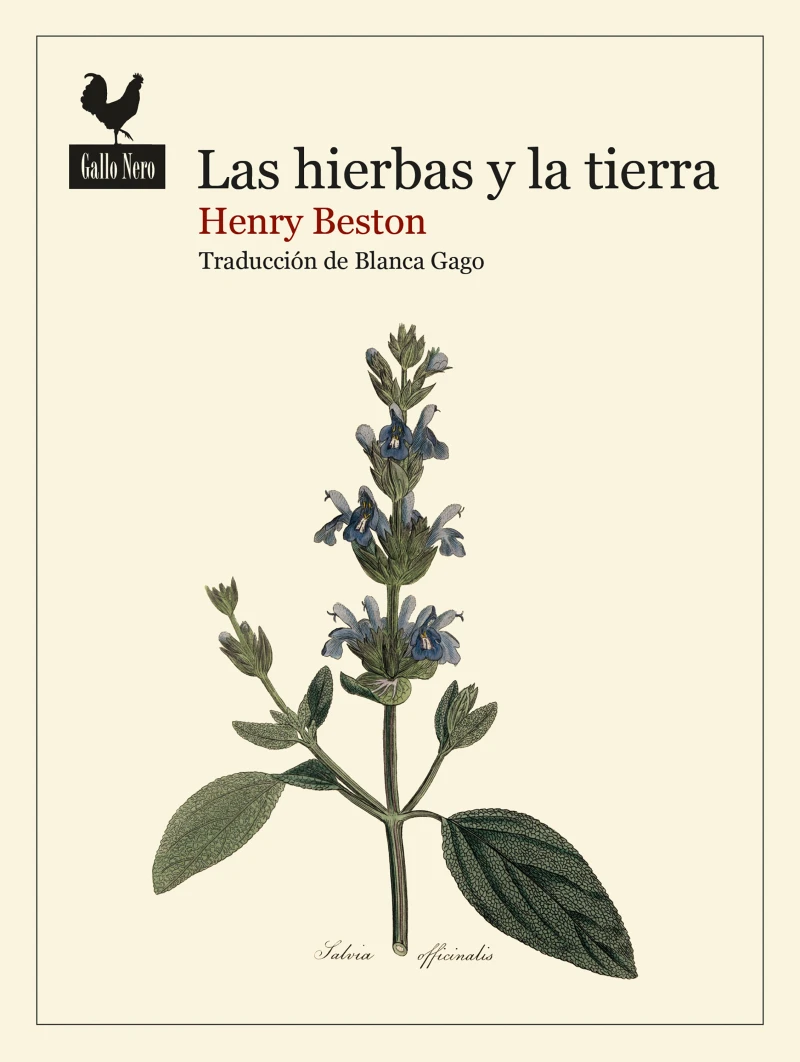 Portada: Las hierbas y la tierra