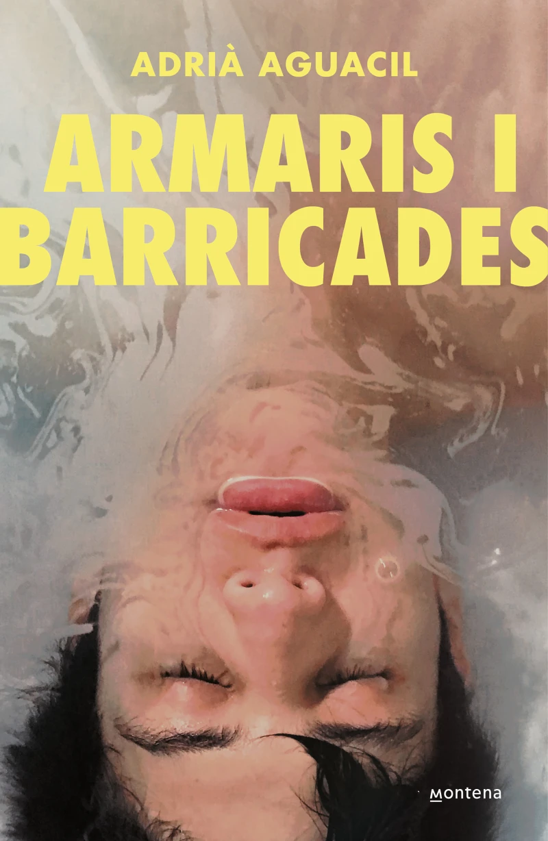 Portada: Armaris i barricades
