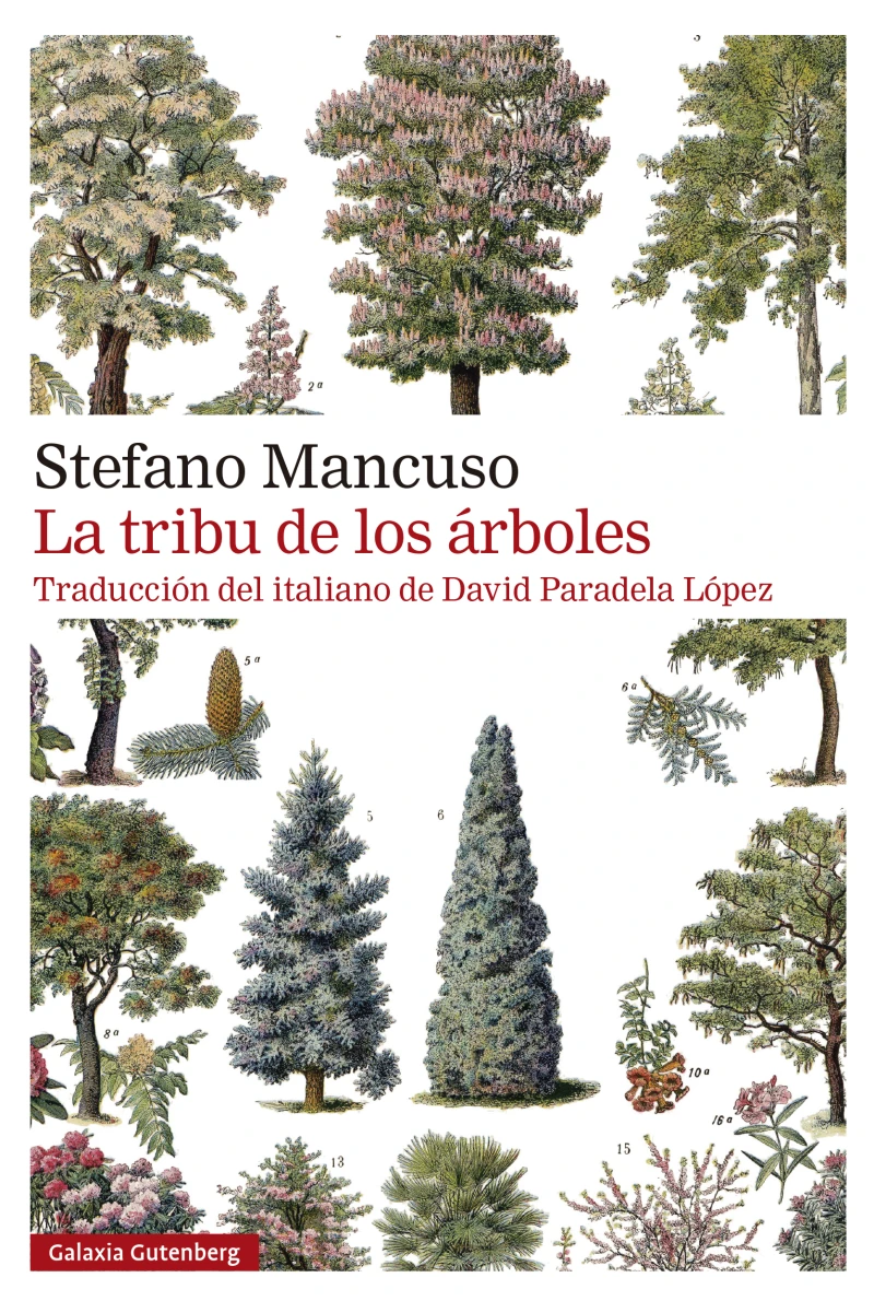 Portada: La tribu de los árboles