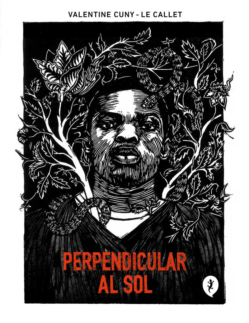 Portada: Perpendicular al sol