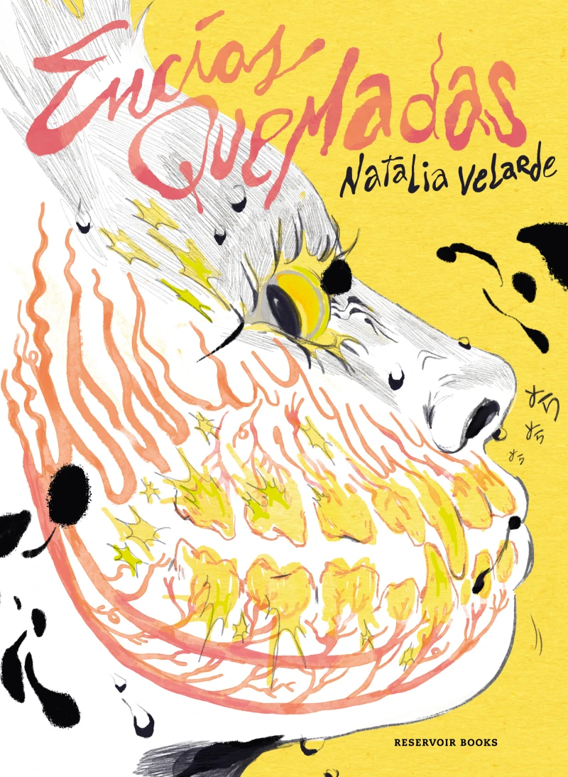 Portada: Encías quemadas