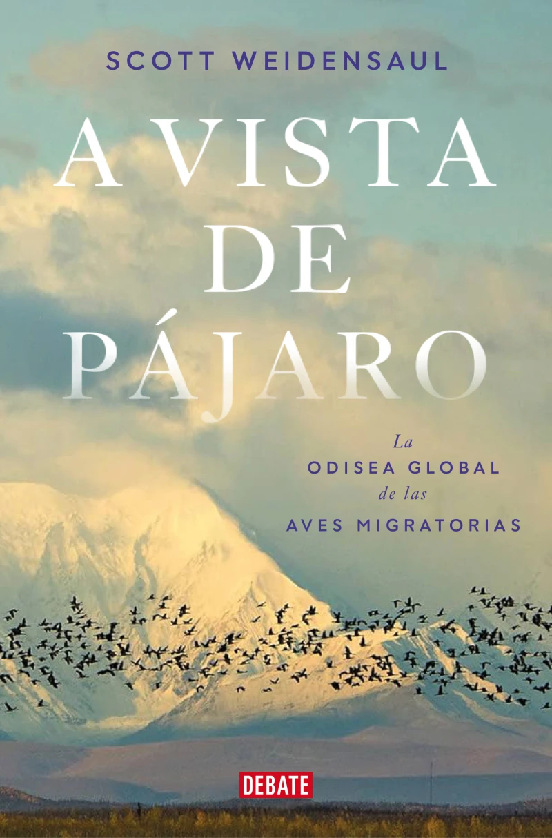 Portada: A vista de pájaro