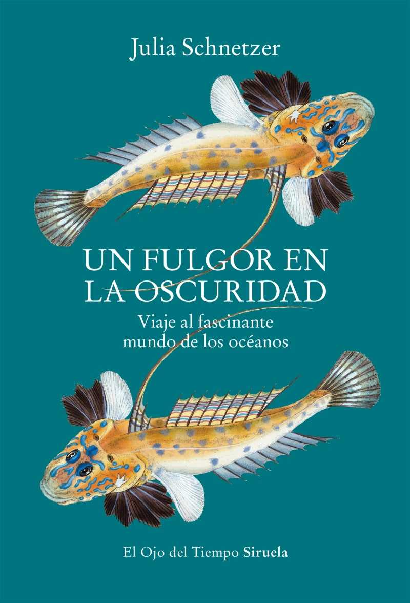 Portada: Un fulgor en la oscuridad