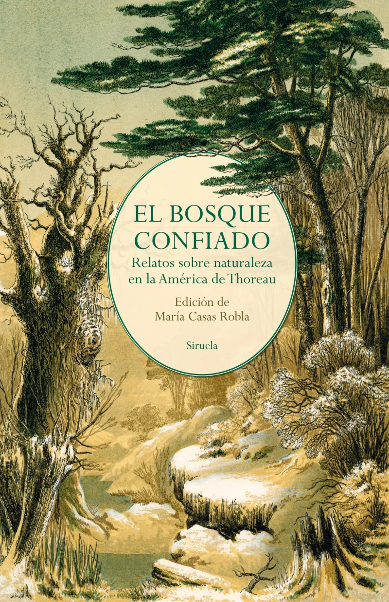 Portada: El bosque confiado