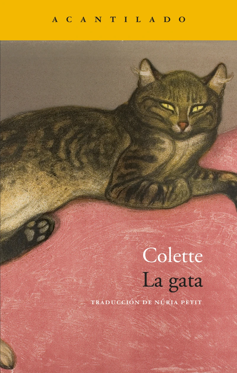 Portada: La gata