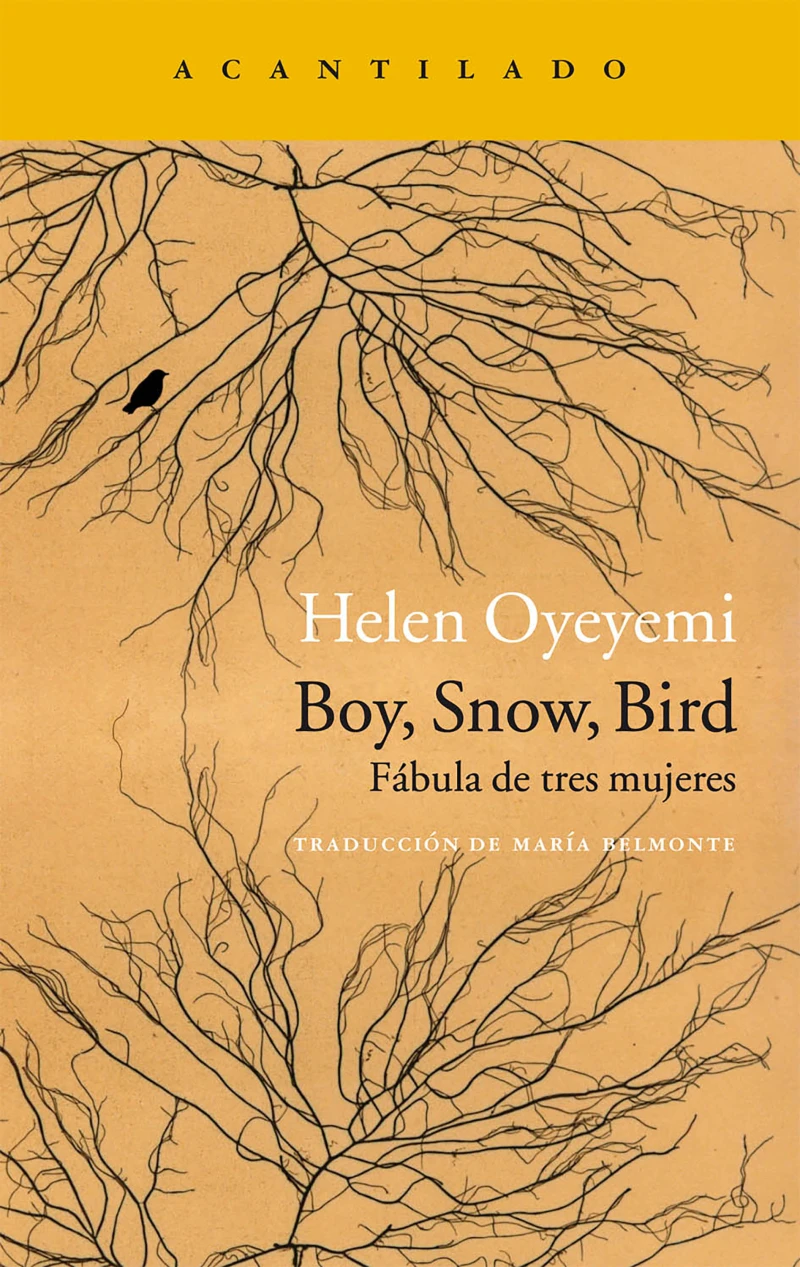 Portada: Boy, Snow, Bird