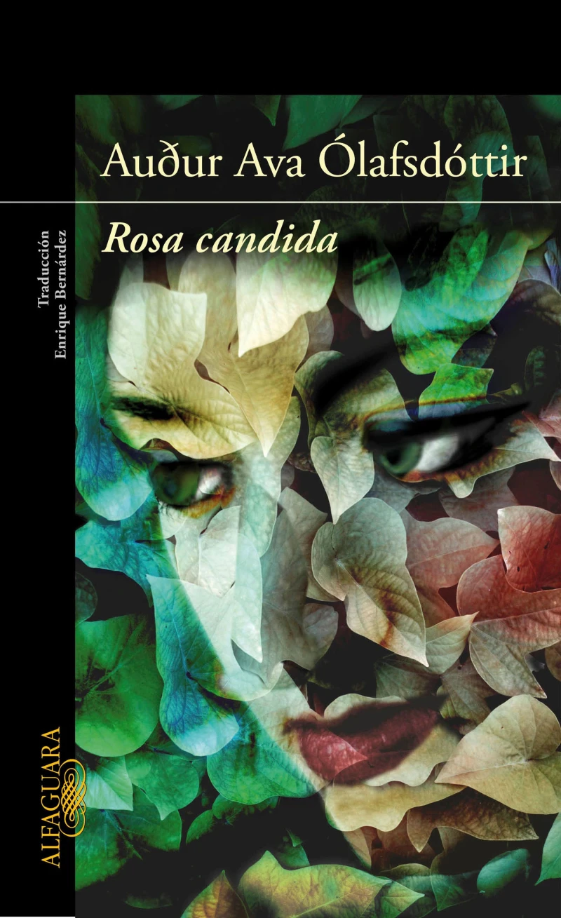 Portada: Rosa candida