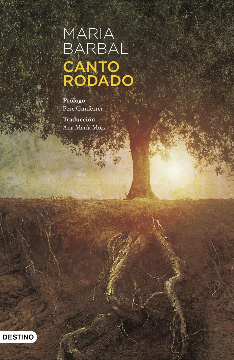 Portada: Canto rodado