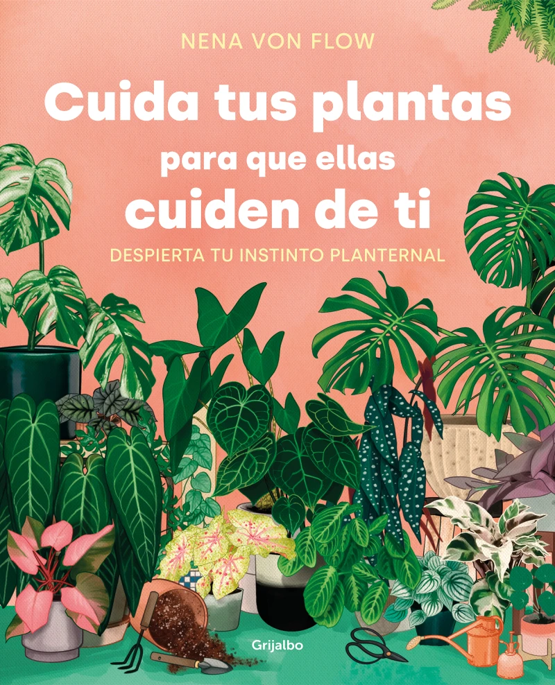 Portada: Cuida tus plantas para que ellas cuiden de ti