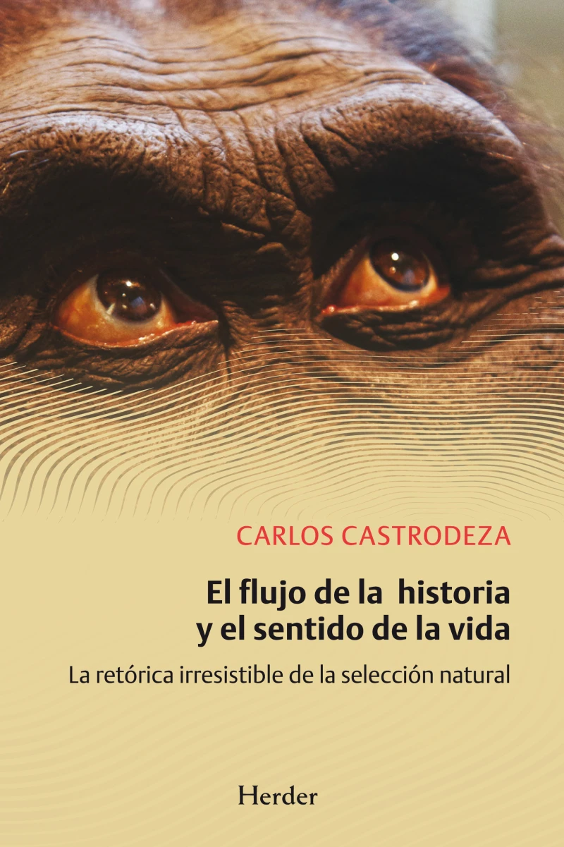 Portada: El flujo de la historia y el sentido de la vida