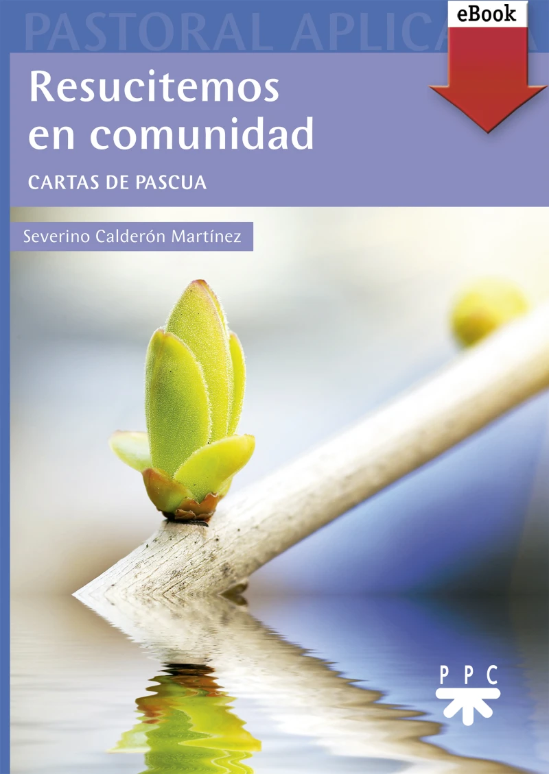 Portada: Resucitemos en comunidad