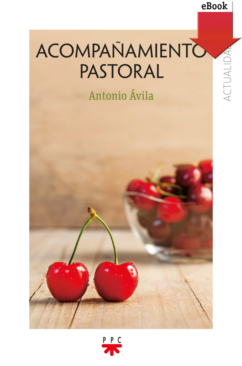 Portada: Acompañamiento Pastoral