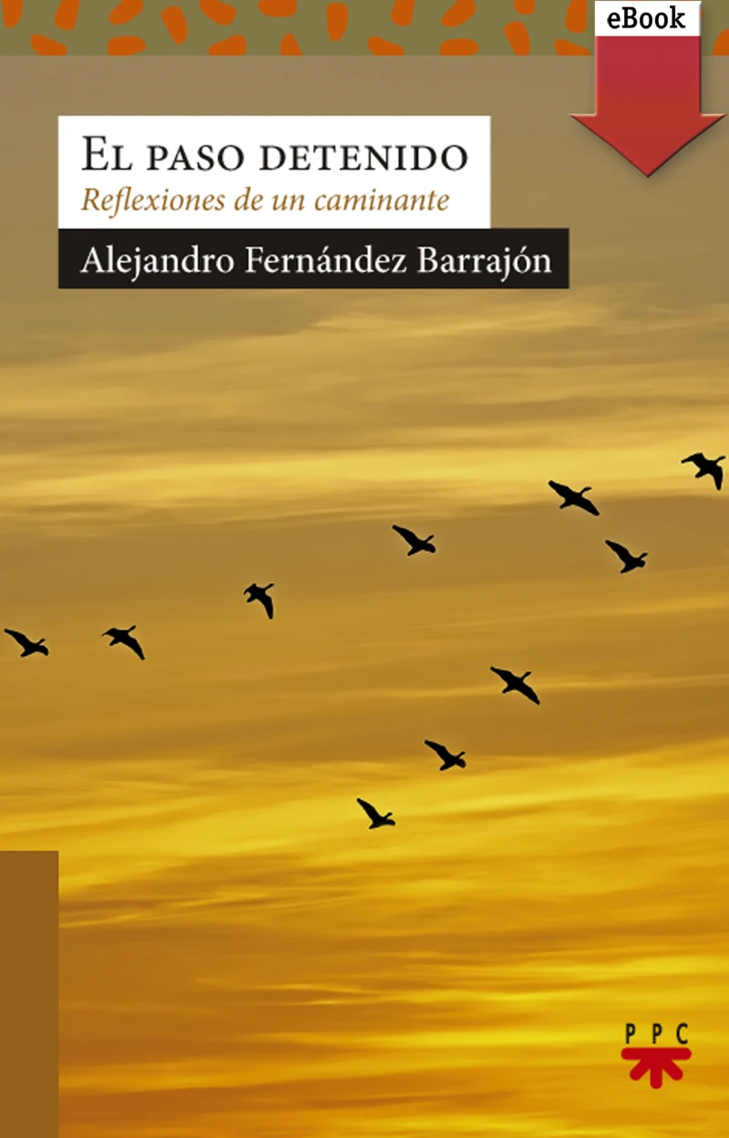Portada: El paso detenido