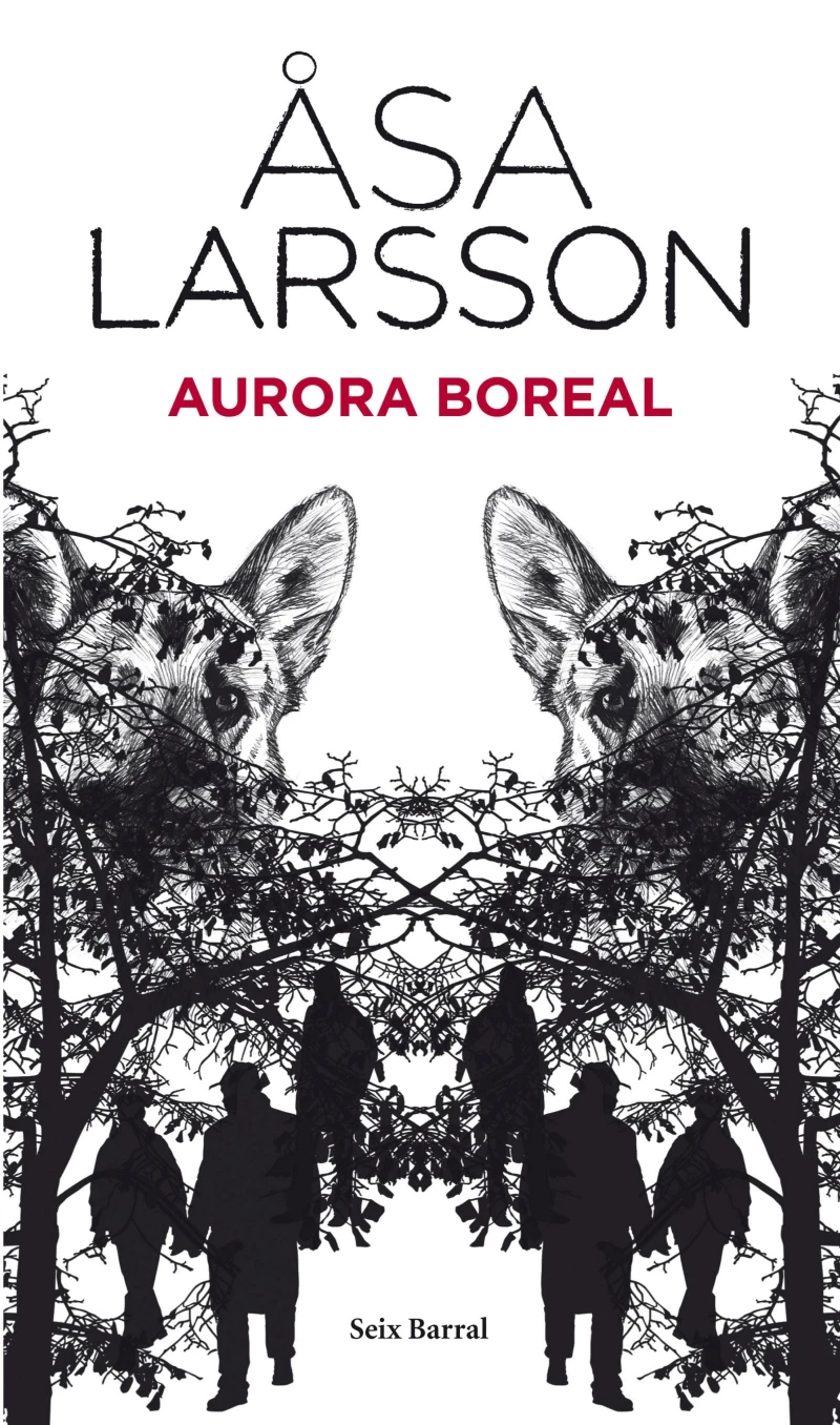 Portada: Aurora boreal