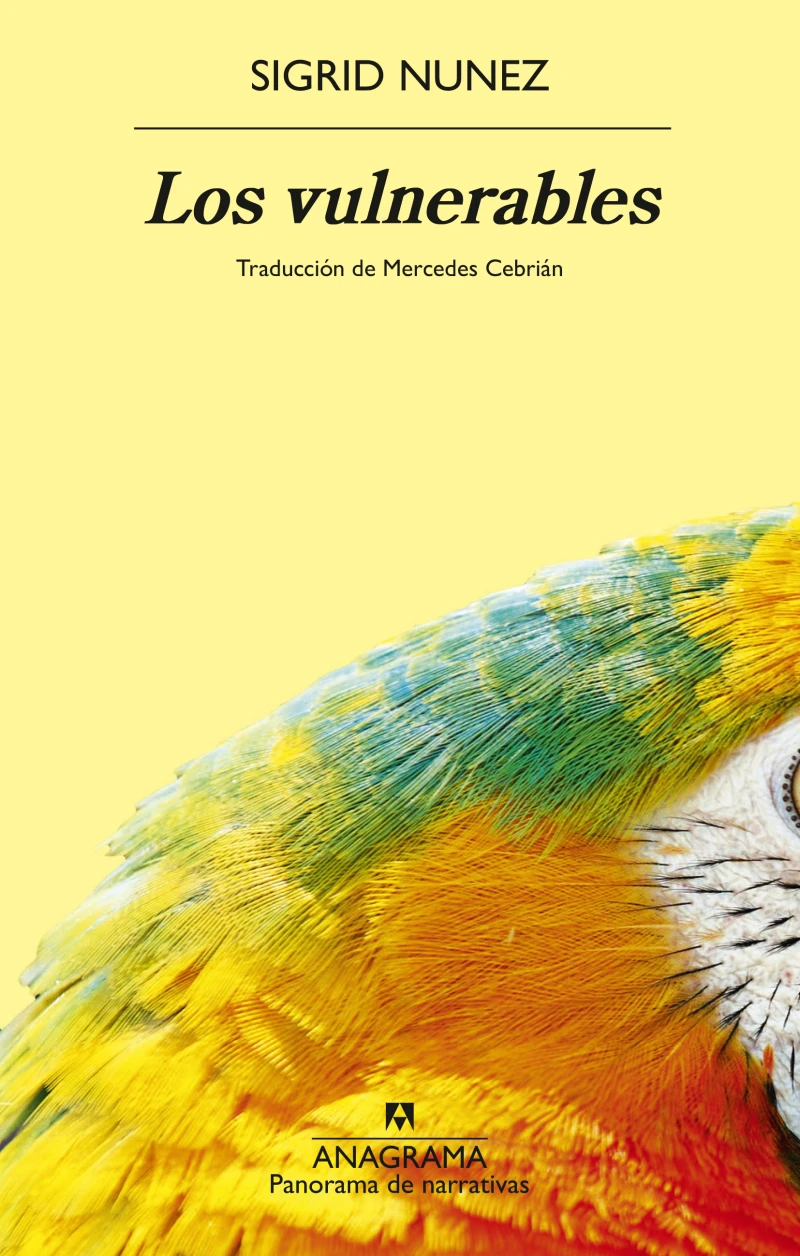Portada: Los vulnerables