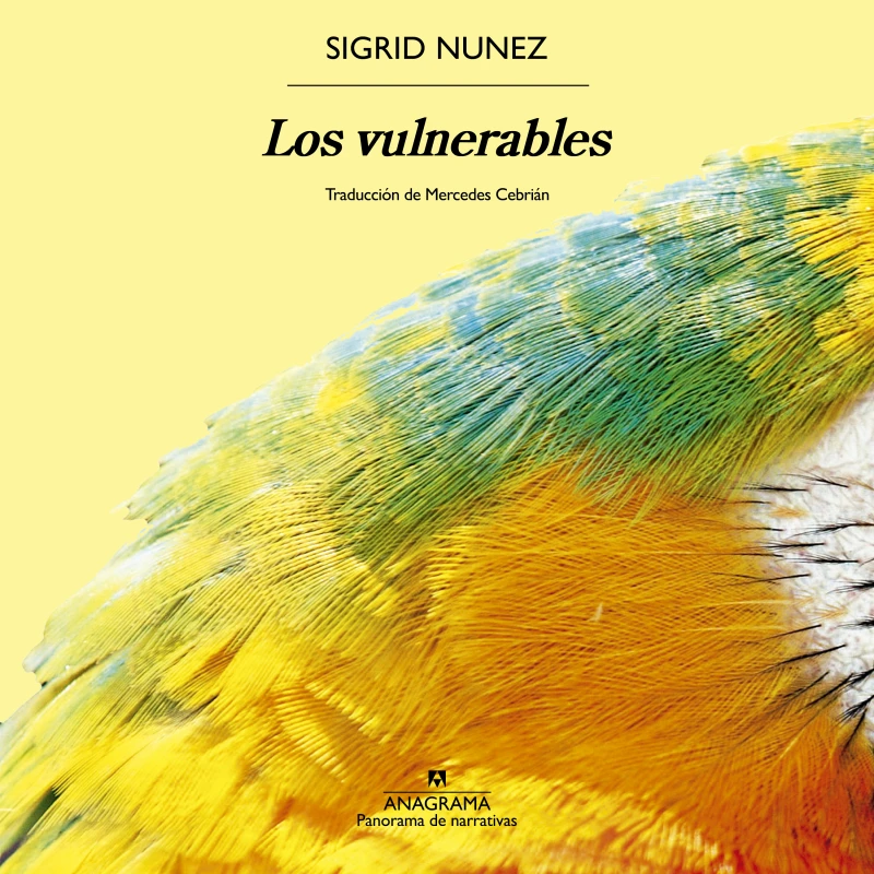 Portada: Los vulnerables