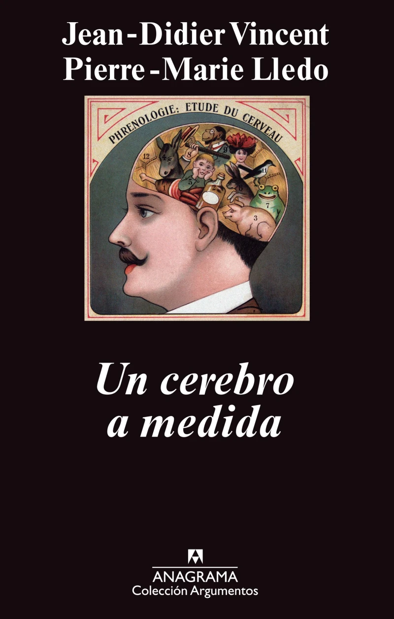 Portada: Un cerebro a medida