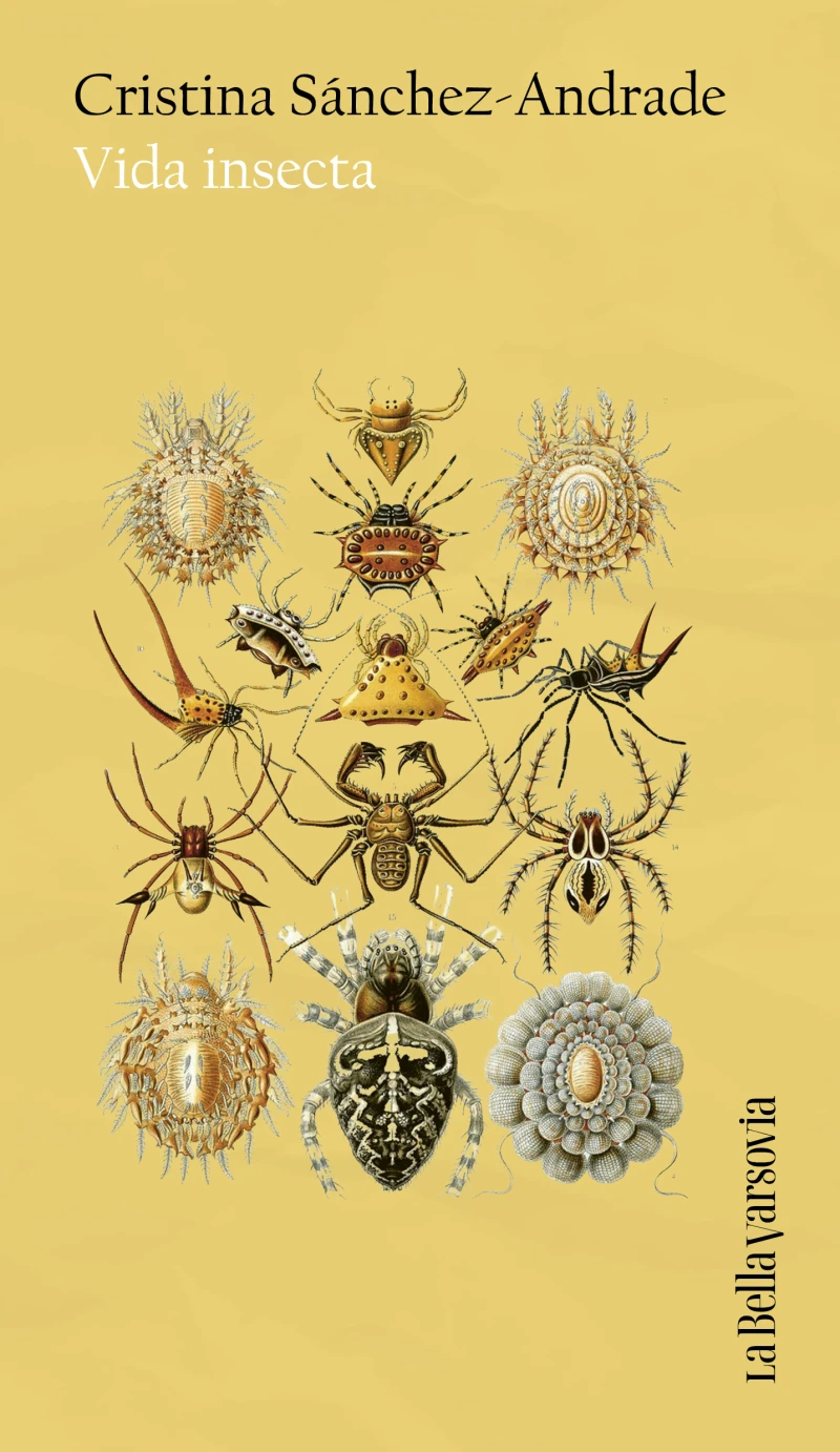 Portada: Vida insecta